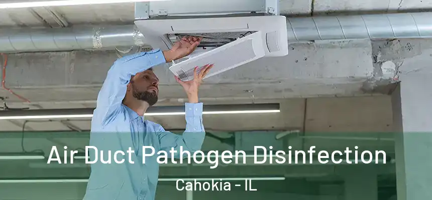 Air Duct Pathogen Disinfection Cahokia - IL