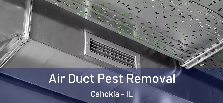 Air Duct Pest Removal Cahokia - IL