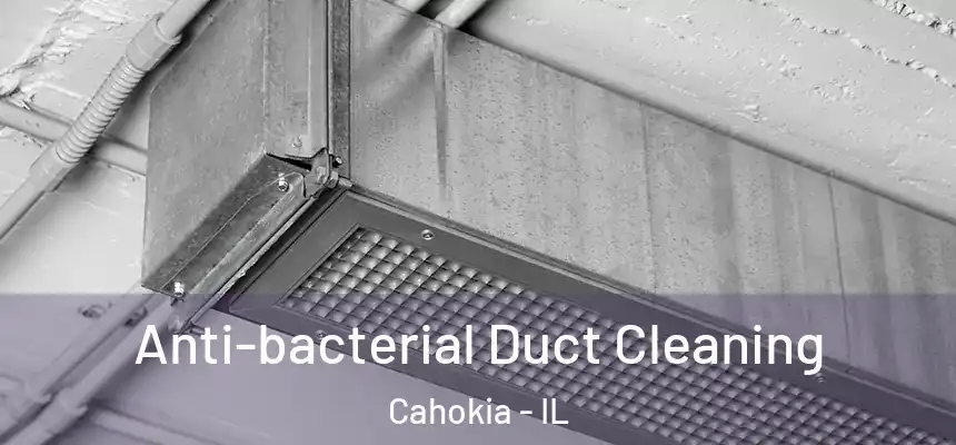 Anti-bacterial Duct Cleaning Cahokia - IL