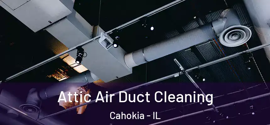  Attic Air Duct Cleaning Cahokia - IL