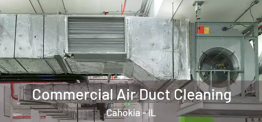 Commercial Air Duct Cleaning Cahokia - IL