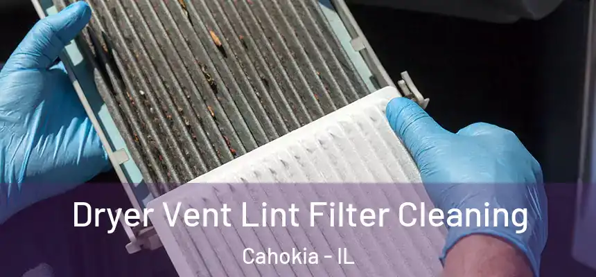 Dryer Vent Lint Filter Cleaning Cahokia - IL