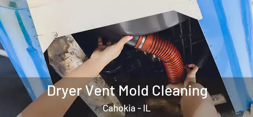 Dryer Vent Mold Cleaning Cahokia - IL
