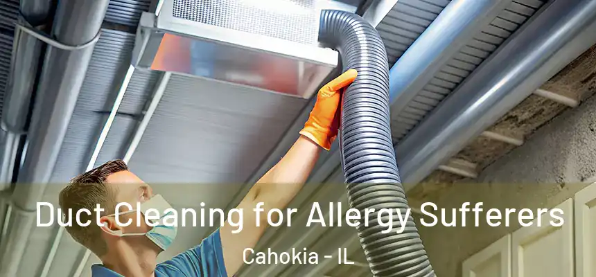 Duct Cleaning for Allergy Sufferers Cahokia - IL