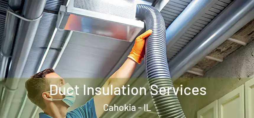  Duct Insulation Services Cahokia - IL