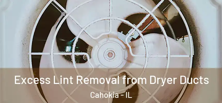 Excess Lint Removal from Dryer Ducts Cahokia - IL