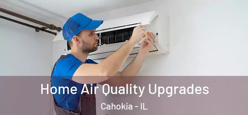 Home Air Quality Upgrades Cahokia - IL