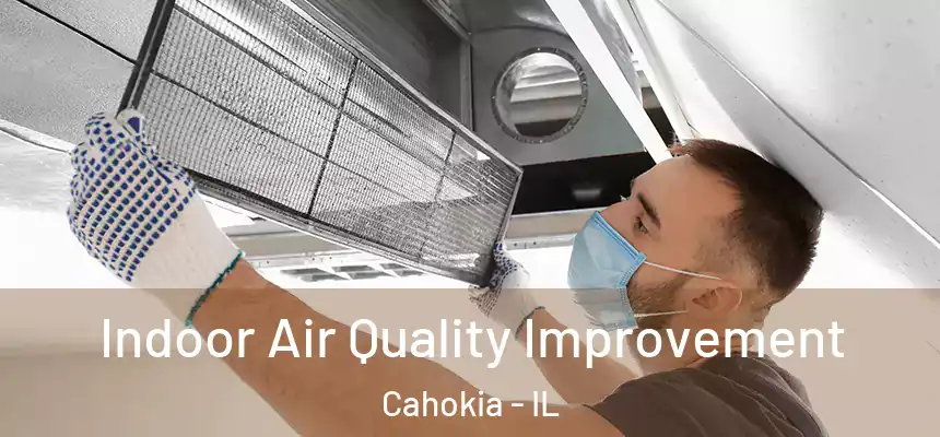 Indoor Air Quality Improvement Cahokia - IL