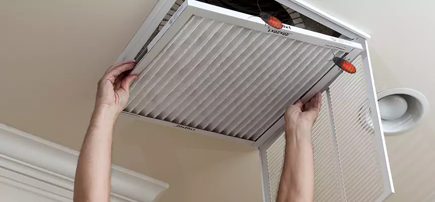Preventive Cockroach-Proofing for Ducts in Cahokia