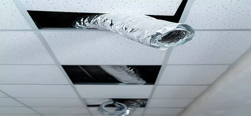 Affordable HVAC Sanitizing After Pest Removal in Cahokia