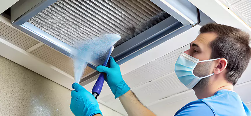 Proactive Dryer Vent & Auxiliary Duct Pollen Cleanup in Cahokia, IL