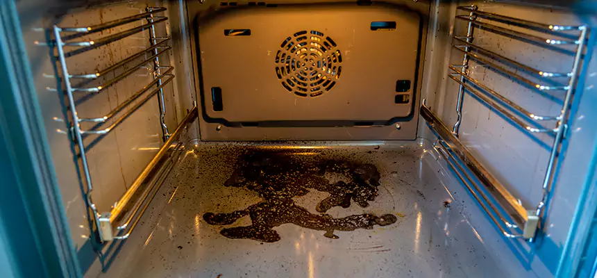 Our Dryer Vent Mold Cleaning Services in Cahokia, IL