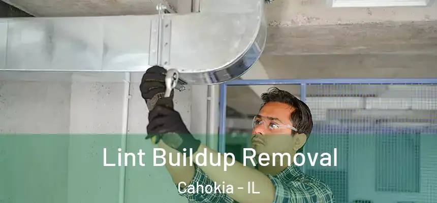 Lint Buildup Removal Cahokia - IL