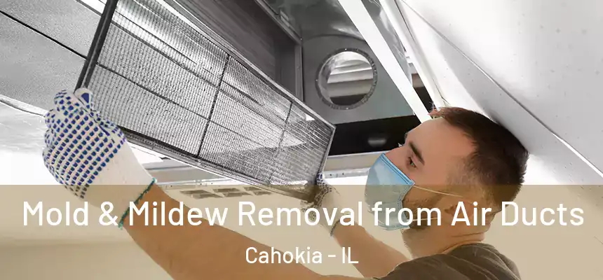 Mold & Mildew Removal from Air Ducts Cahokia - IL