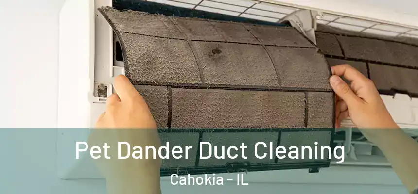  Pet Dander Duct Cleaning Cahokia - IL