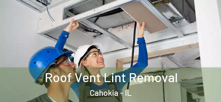 Roof Vent Lint Removal Cahokia - IL