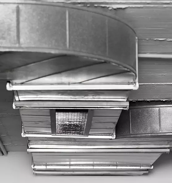 Professional Air Duct Pest Removal in Cahokia, IL