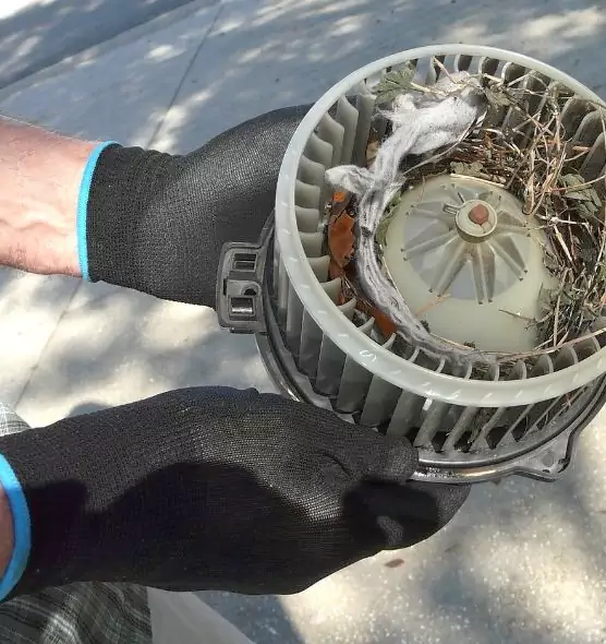 About Air Duct Rat Removal in Cahokia, IL