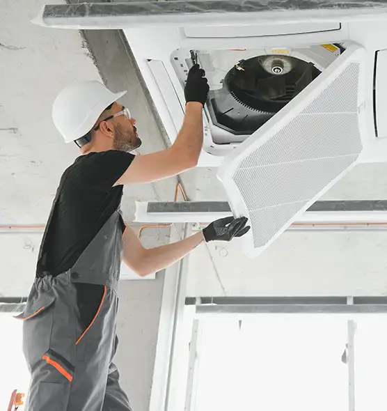 About Air Duct Rodent Removal in Cahokia, IL