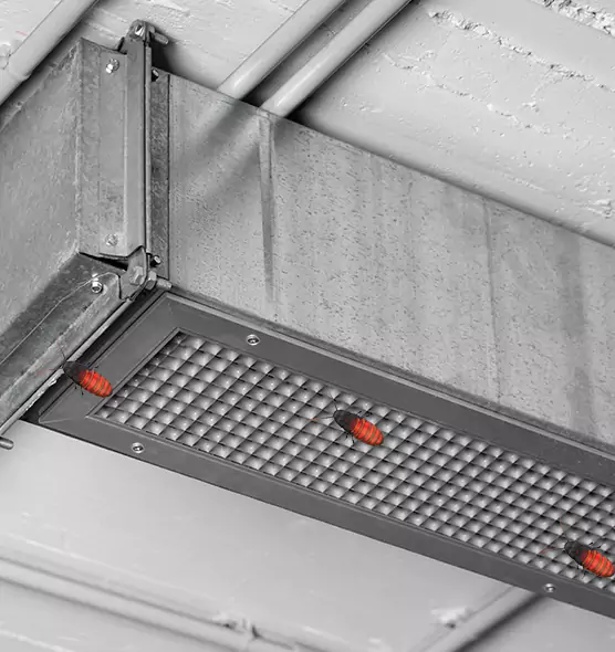 Affordable Insect Removal from Air Ducts in Cahokia, IL