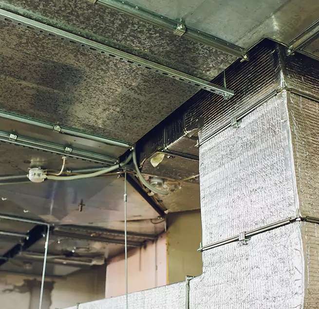 Why Homeowners & Businesses Trust Us in Cahokia, IL?