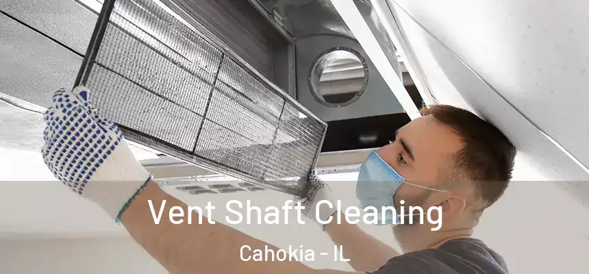  Vent Shaft Cleaning Cahokia - IL